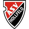 ASV Hollfeld Logo